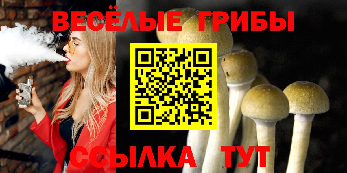 Псилоцибиновые грибы MAGIC MUSHROOMS  Вход с VPN  Шарыпово 